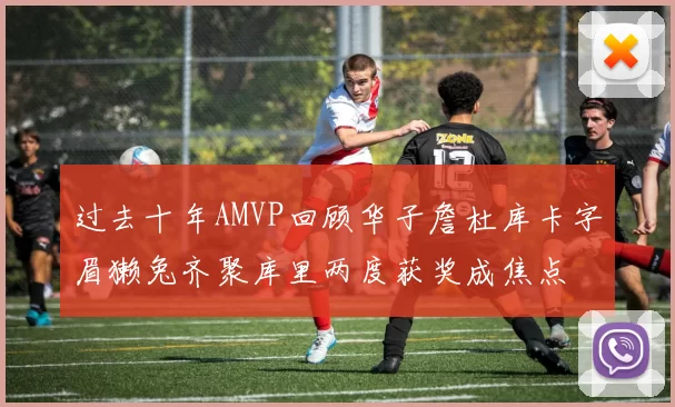 过去十年AMVP回顾华子詹杜库卡字眉獭兔齐聚库里两度获奖成焦点